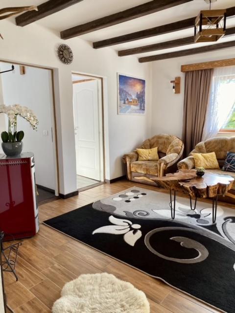 Cabana Elena Borşa Extérieur photo
