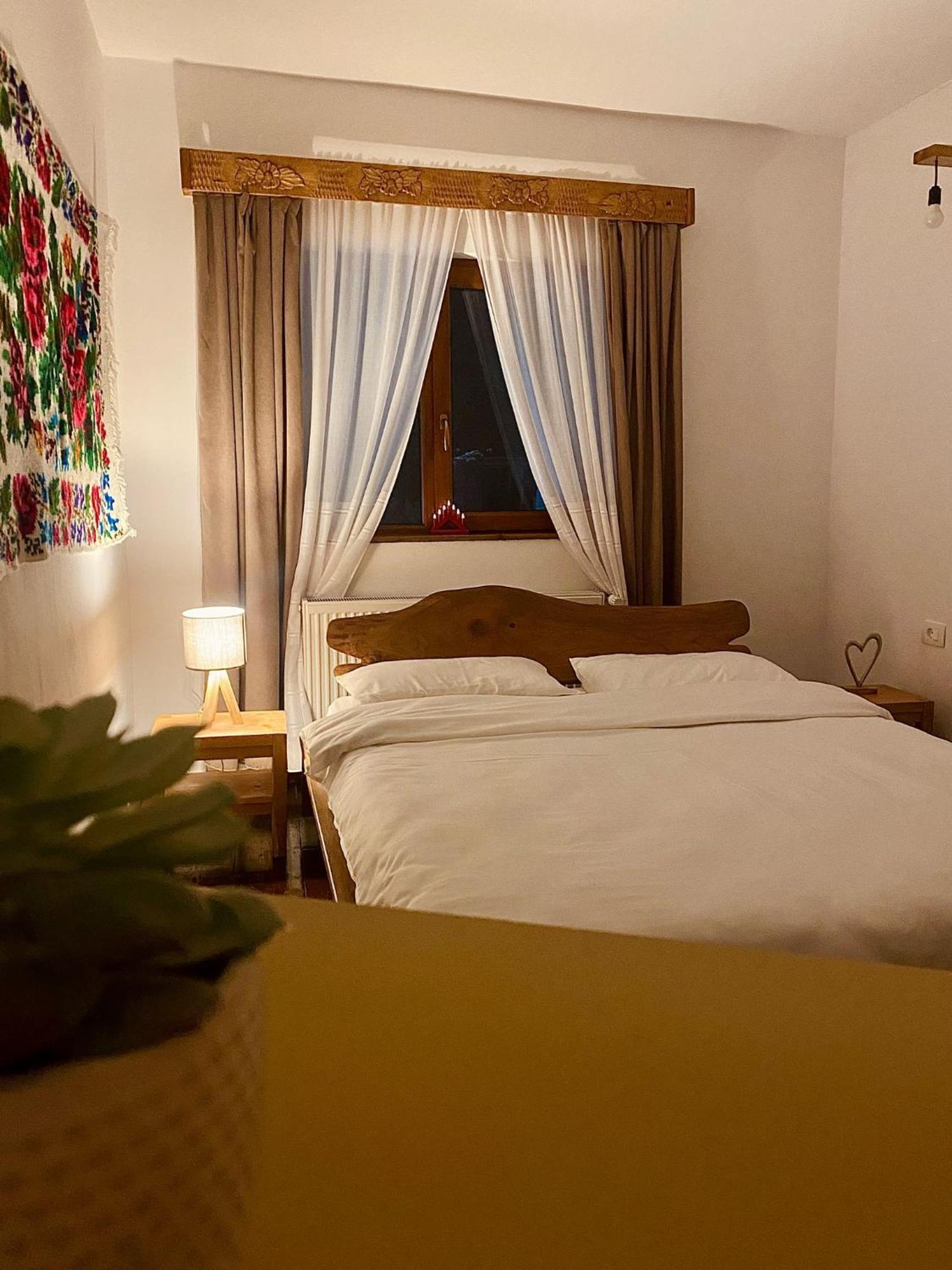 Cabana Elena Borşa Extérieur photo